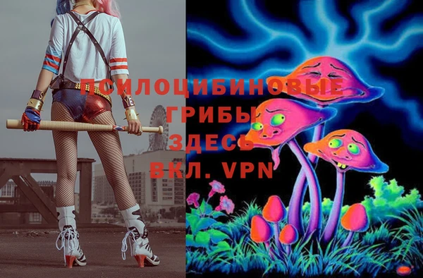 мдпв Заводоуковск