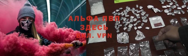 мдпв Заводоуковск