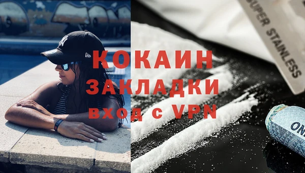 мдпв Заводоуковск