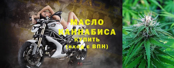 мдпв Заводоуковск