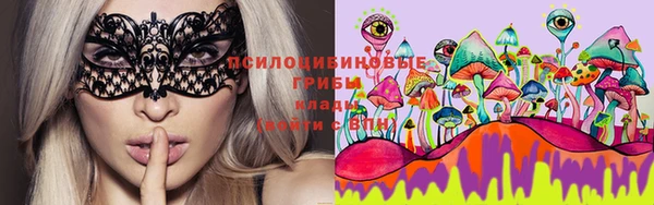 мдпв Заводоуковск